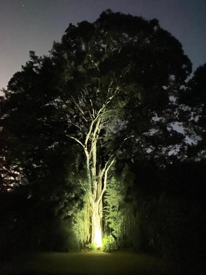 Recanto Da Floresta - Casa De Campo Em Secretario Petrópolis Eksteriør bilde