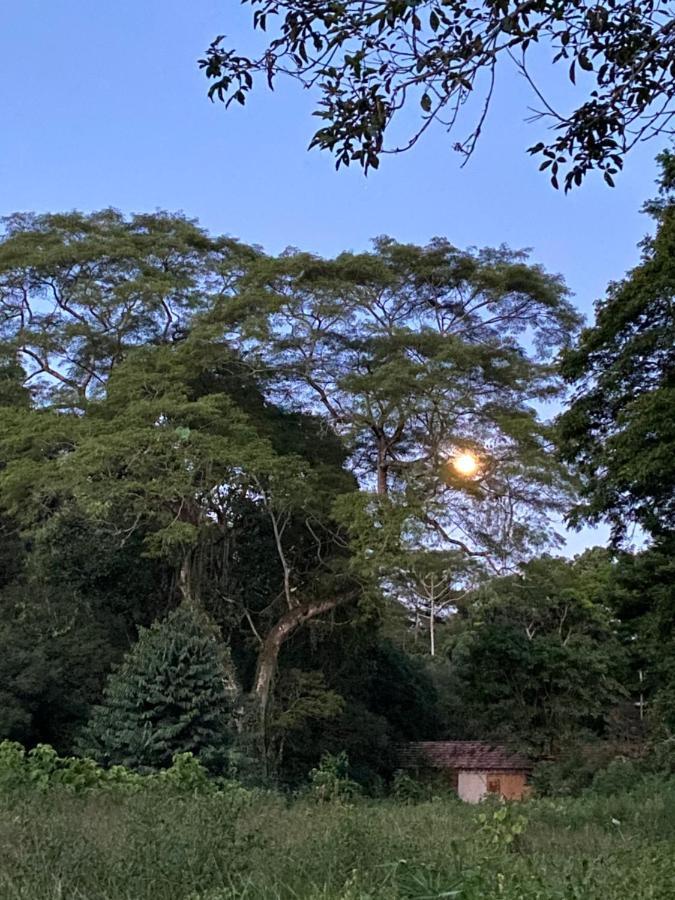 Recanto Da Floresta - Casa De Campo Em Secretario Petrópolis Eksteriør bilde