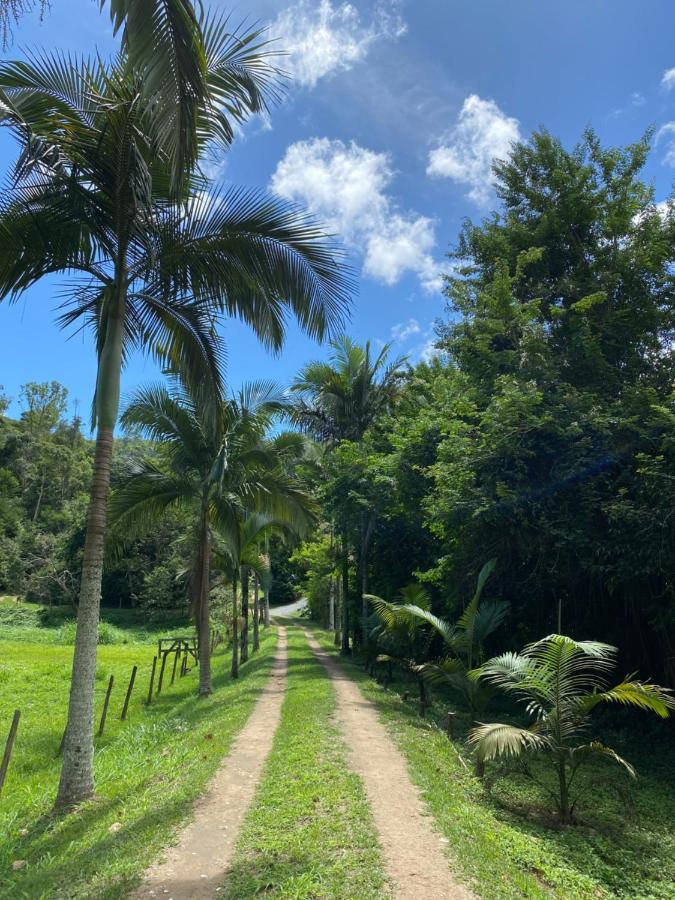 Recanto Da Floresta - Casa De Campo Em Secretario Petrópolis Eksteriør bilde